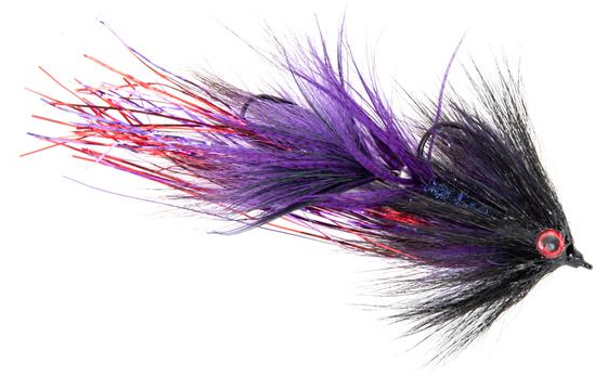 P-23829_Guideline_Streamer_Swim_Coach_Baby_Craven_Purple_Black Guideline Streamer - Swim Coach Baby Craven purple/black