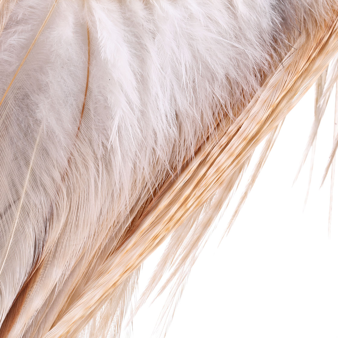 P-25426_Whiting-Pro-Grade-1_2-Cape_detail_1