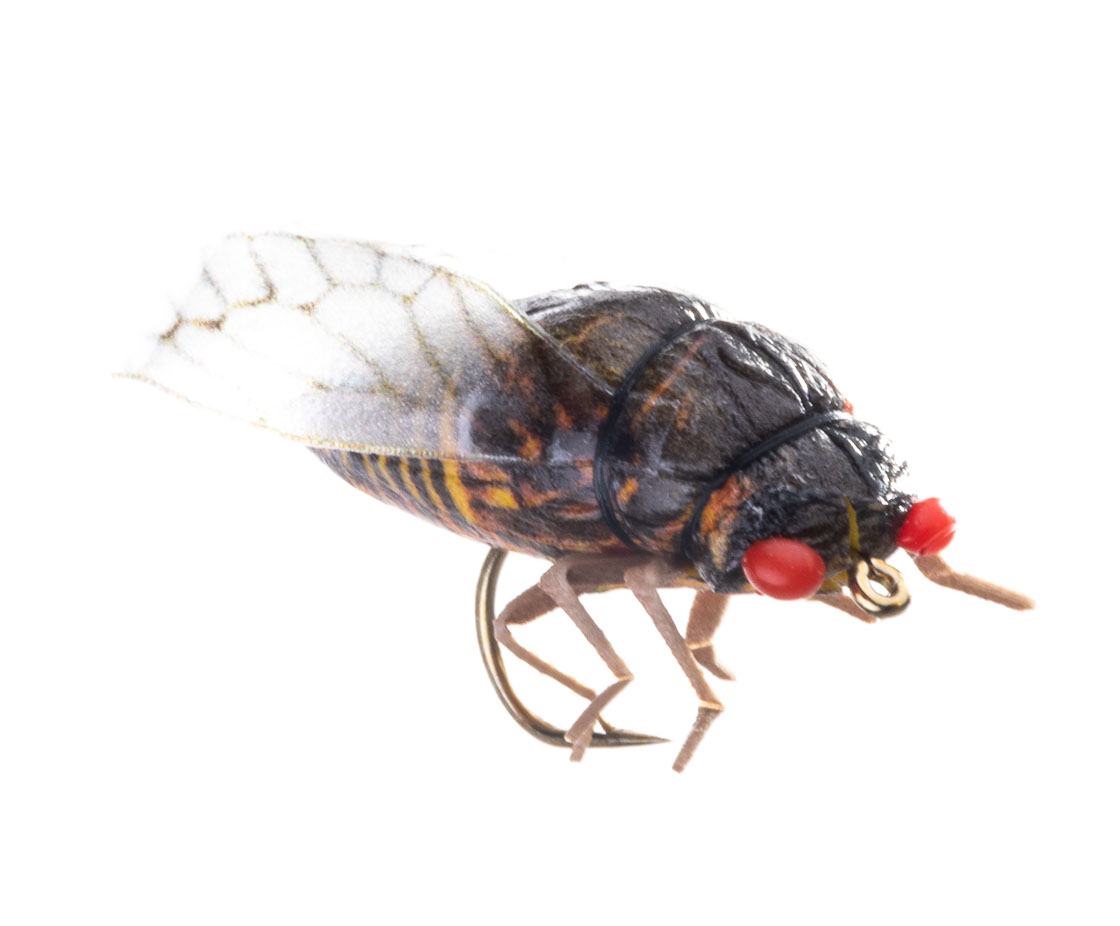 15907_Vania-Realistic-Salmon-Cicadia-Soft-Leg_1