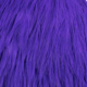 white dyed purple
