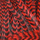 grizzly dyed red