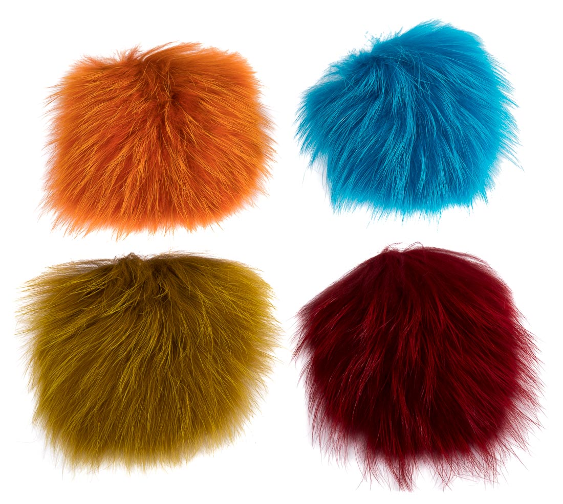 future_fly_tanuki_title_2