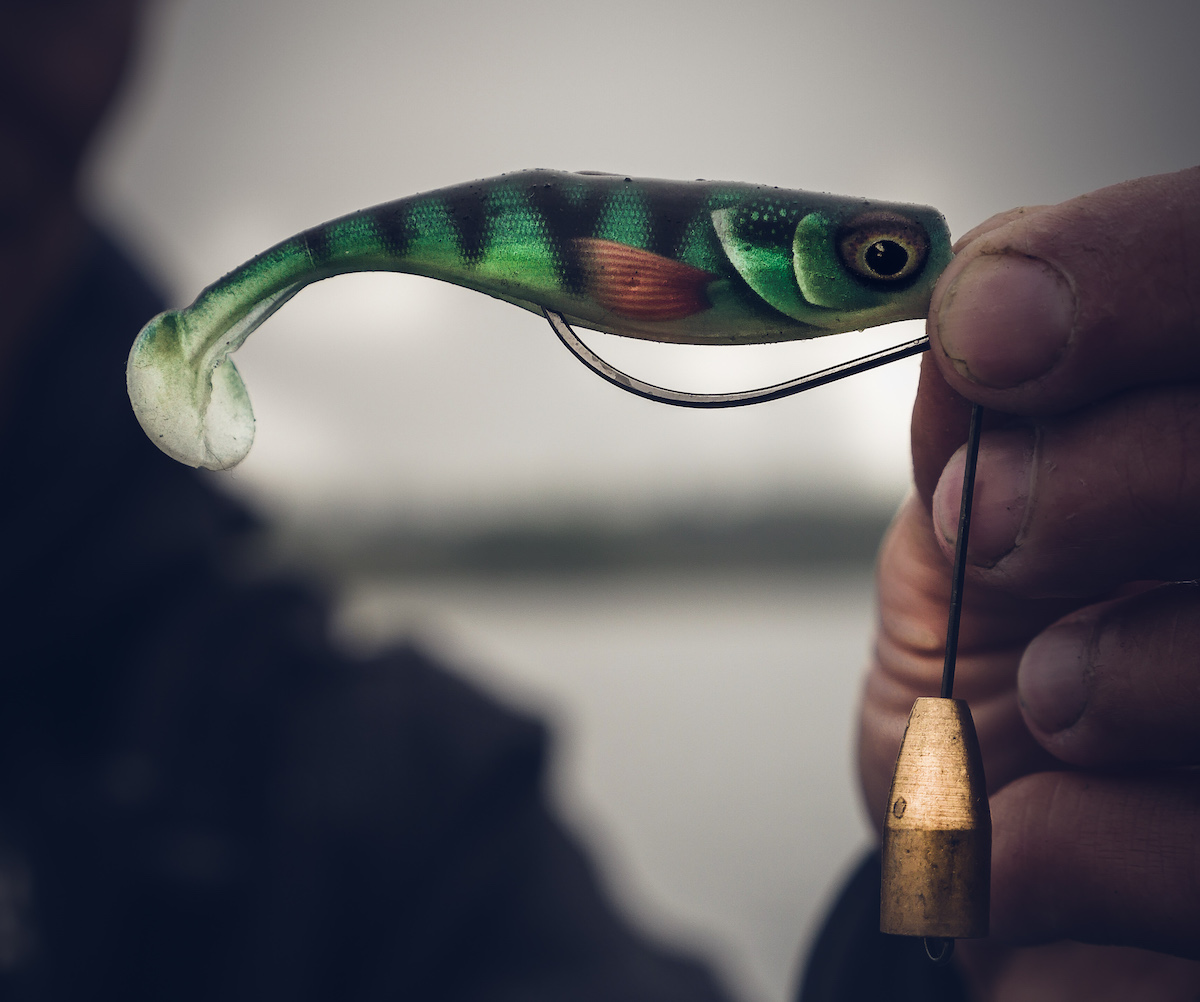 Storm_Hit_Shad_6 Storm Hit Shad