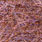 uv copper