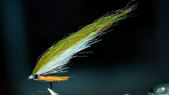 Bindevideo 'Perch Flesh' Baitfish Streamer mit Florian Gräser
