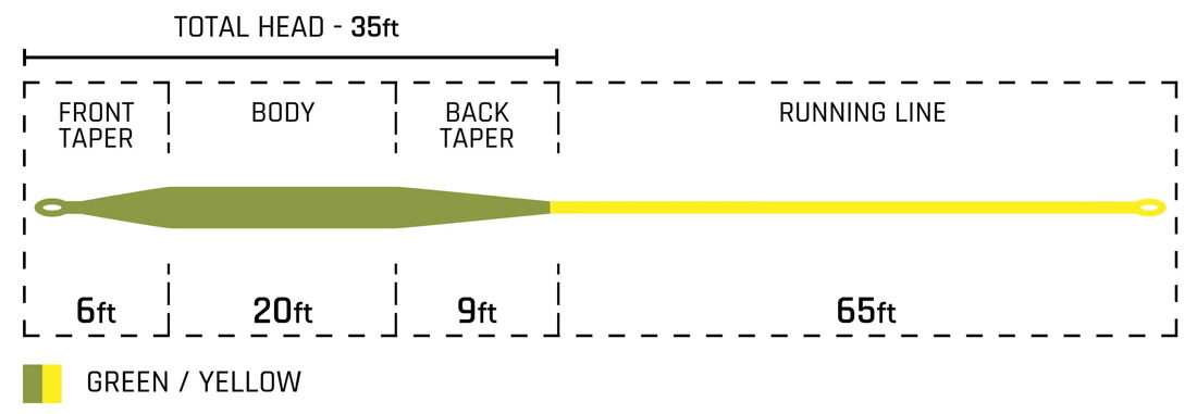 Cortland_Trout_Boss_WF_Fliegenschnur_green_yellow_Taper