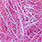 fluo lavender