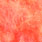 fluo coral