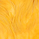 golden yellow