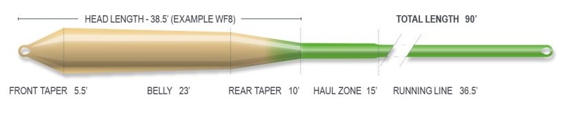 P-28935_Airflo_Ridge_2-0_Gulf_Redfish_Warm_Saltwater_Water_Floating_Power_Core_Fliegenschnur_Tan-Green_2