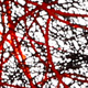 red / black
