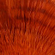 orange/barred brown