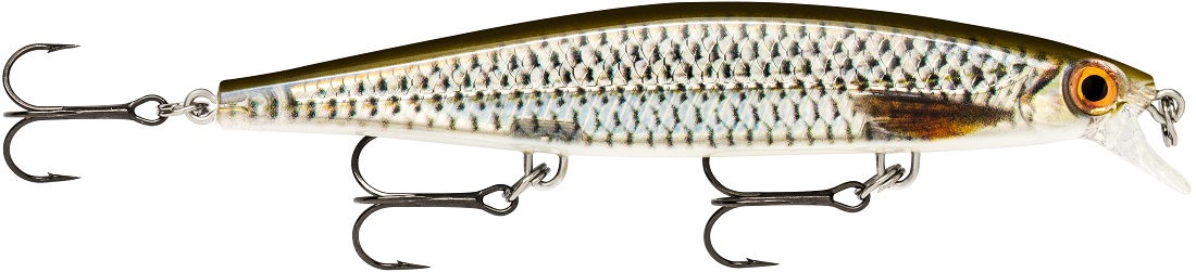 Live Roach