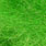 caddis green