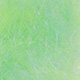 insect green