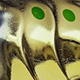 D-06