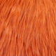 white dyed burnt orange