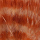 tan/barred brown