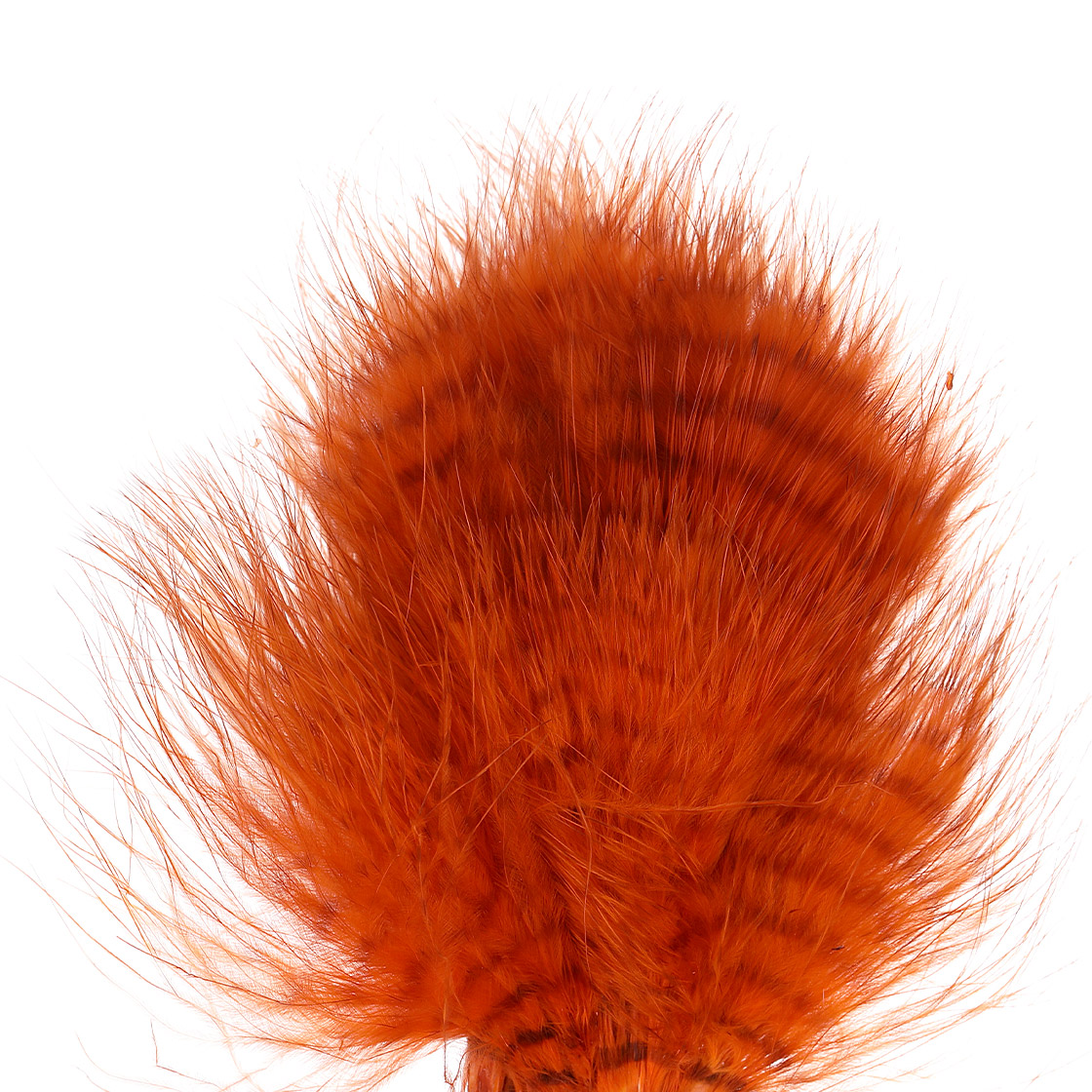 orange/barred brown