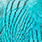 silver dr. blue