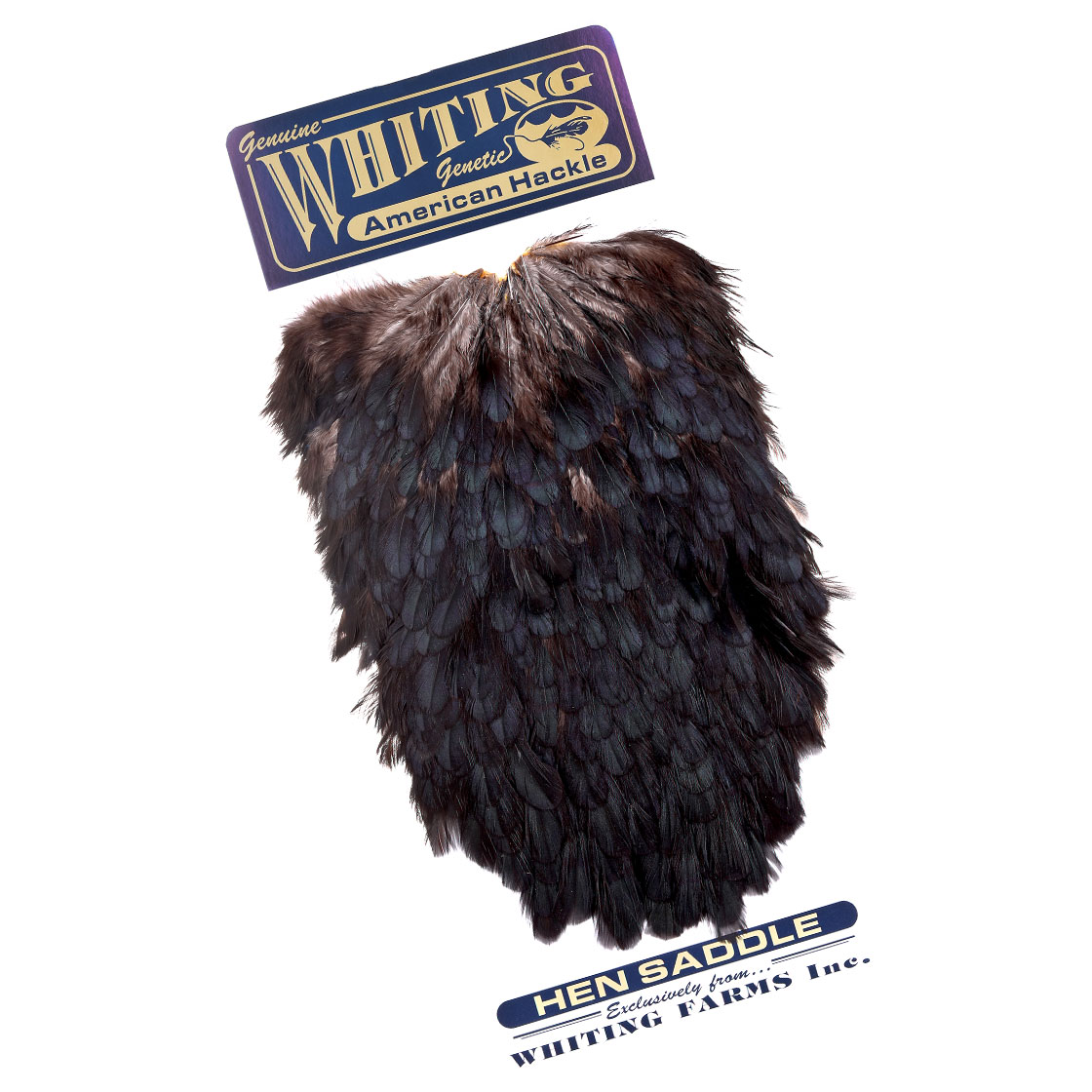 P-25378_Whiting-American-Hen-Saddle_black black