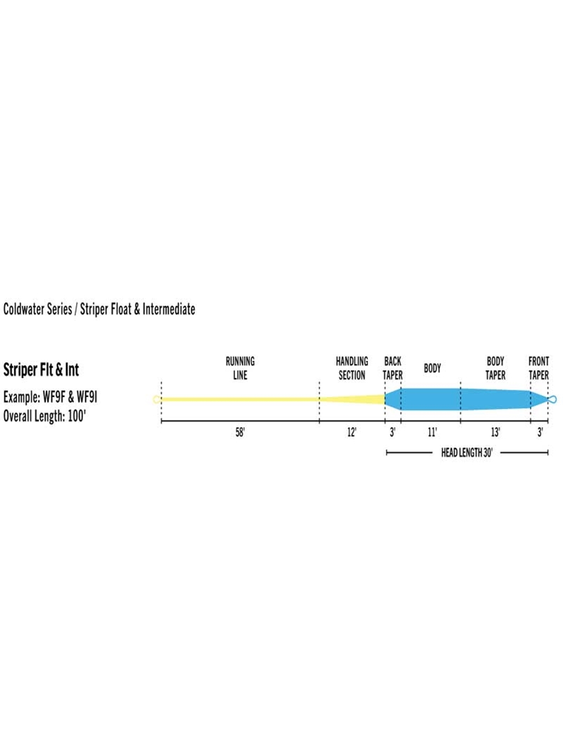 P-20021_Rio-Premier-Striper-Intermediate_taper