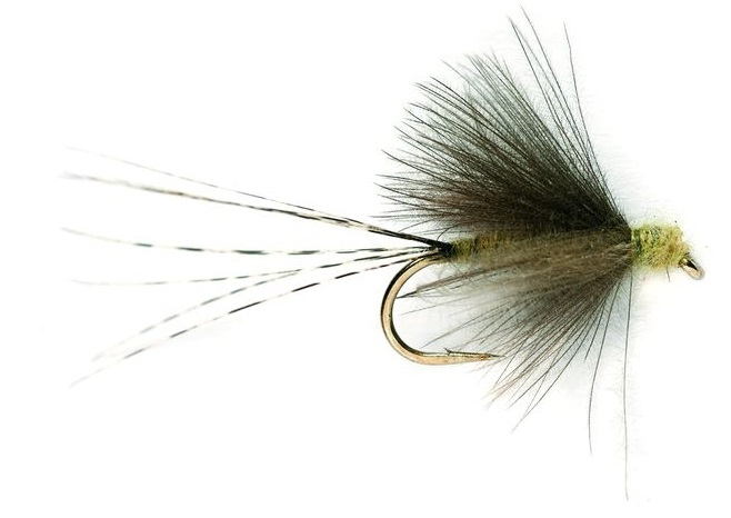 Fulling Mill Trockenfliege - Trans Dun PMD