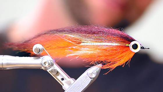 Bindevideo: Pike Runner Hechtstreamer