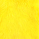 white dyed yellow