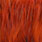 white dyed burnt orange