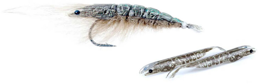 P-27714_Pro_Sportfisher_Shrimp_Shell_Beispiel_ Pro Sportfisher Shrimp Shell Skeletor