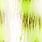 white/chartreuse