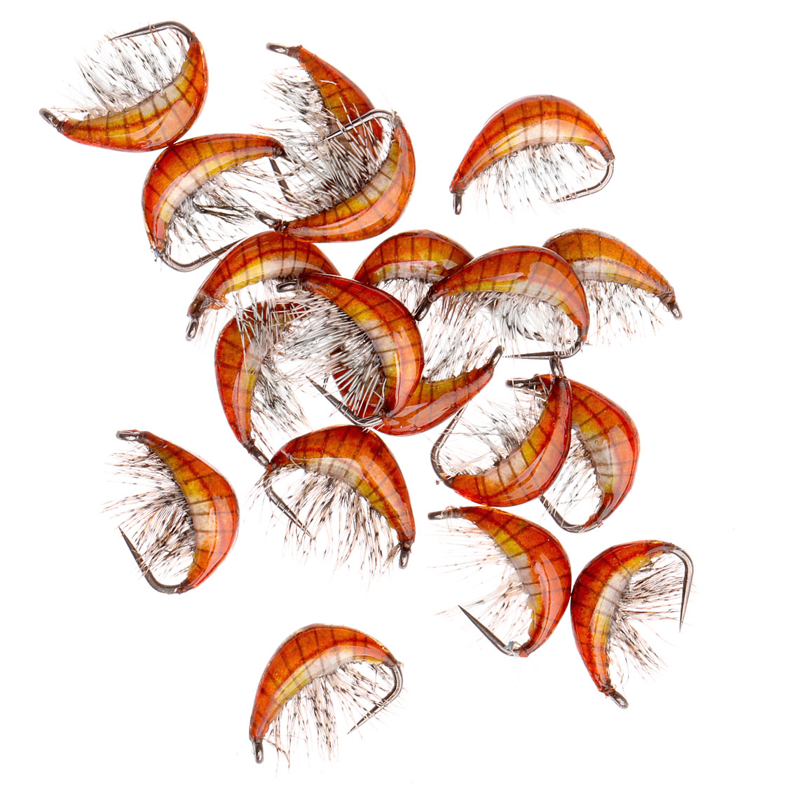 Gammarus_Orange_3