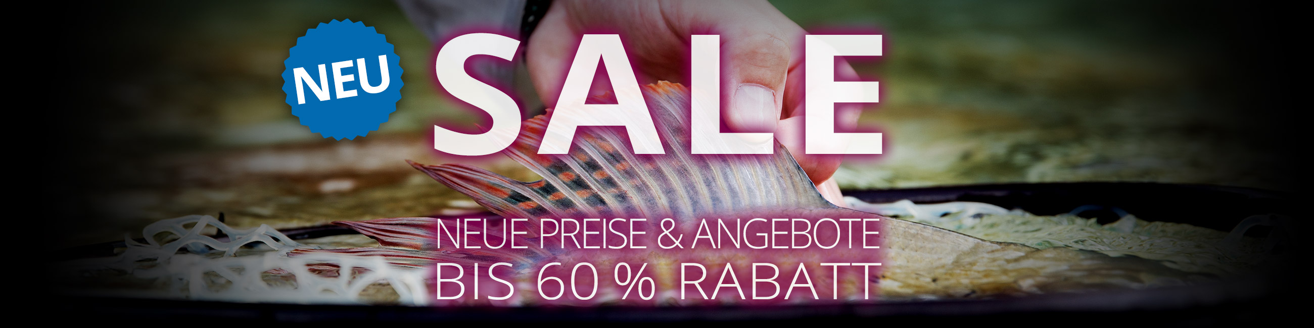 SALE: neue Angebote mit bis zu 60%