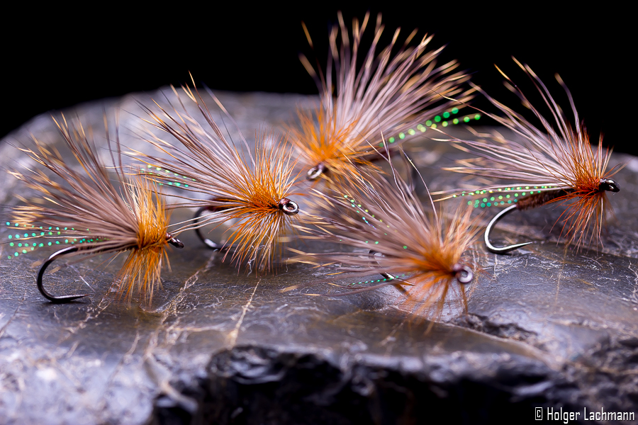 Holger_Lachmann_Whiting_Trockenfliege_Beispiele_6 Bindebeispiel
