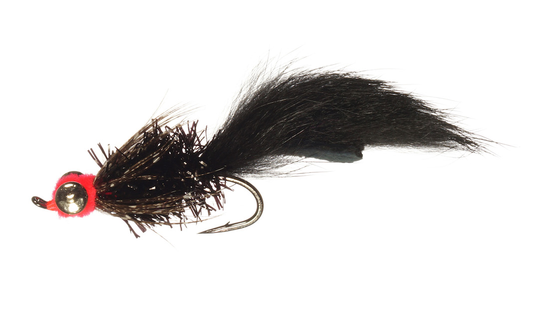 Rainy's Black Fat Cat Leech