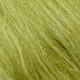 baitfish olive