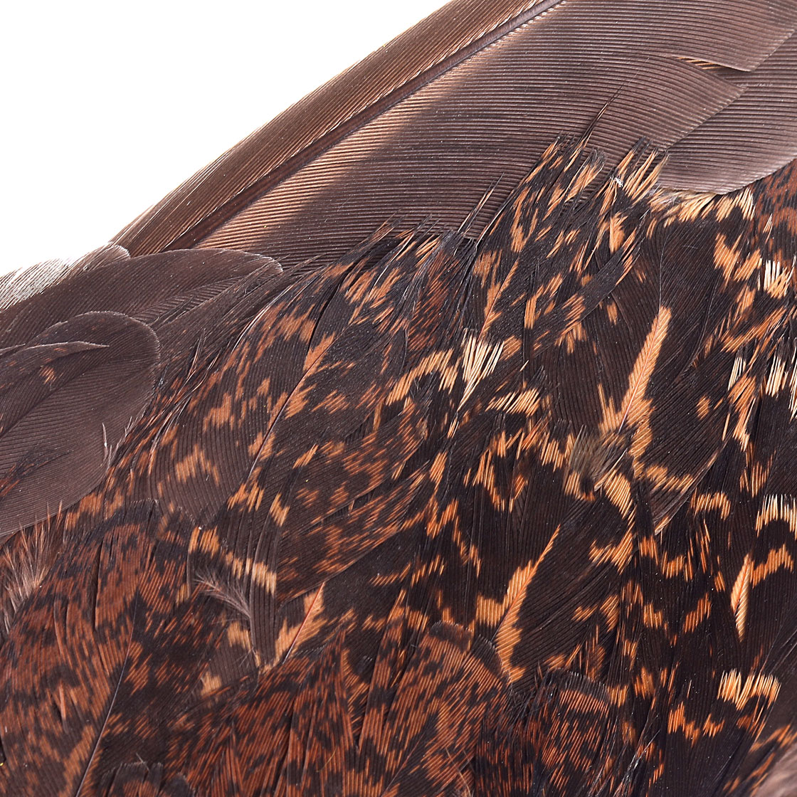 P-13347_Veniard-Grouse-Wings_foto-3