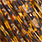 orange barred