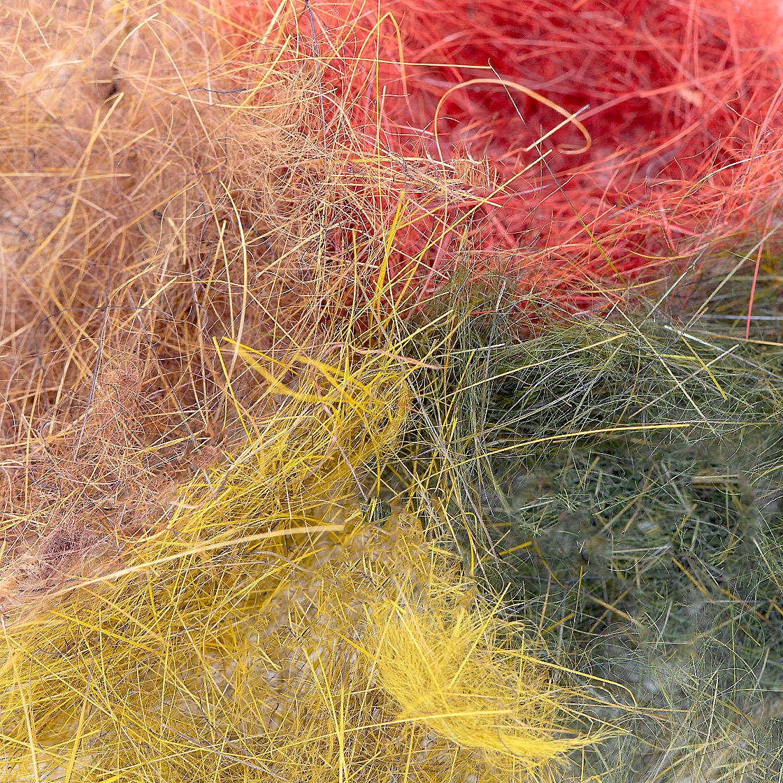 05488-SwissCDC-Argentinian-Long-Hare-Dubbing-titel-neu SwissCDC Argentinian Long Hare Dubbing