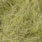 light olive