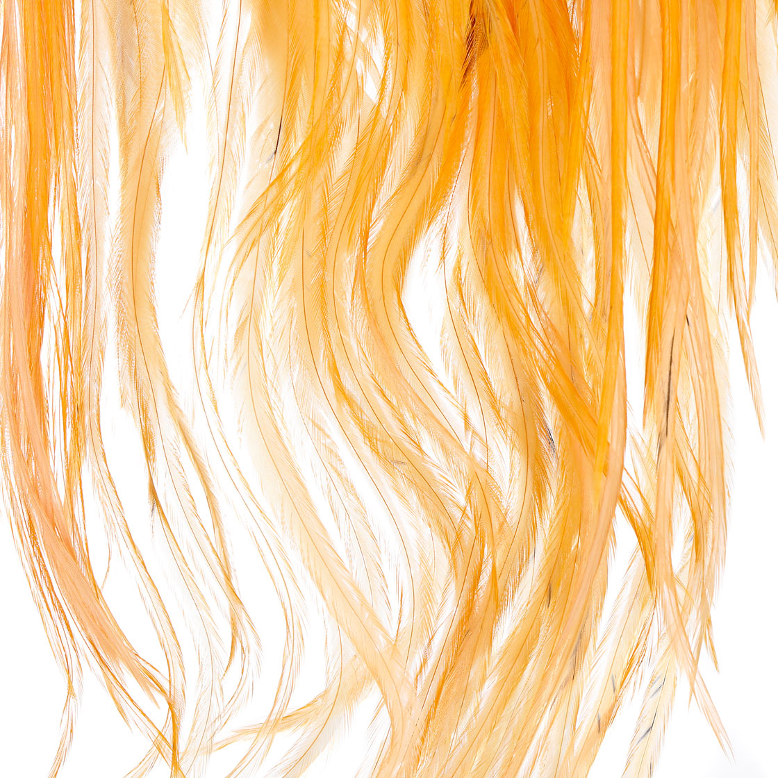 P-21431_Hareline-Flat-Wing-Saddles-UV2_detail-2