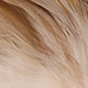 natural ginger