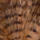 tan/barred black