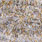 holo silver/gold