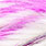 white pink