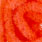 bloodworm red