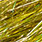 bright gold