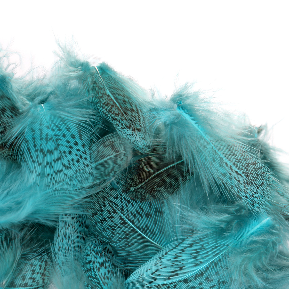 kingfisher blue