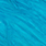 kingfisher blue